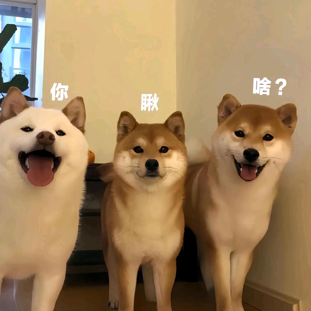 爨