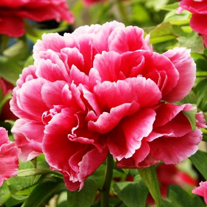 姥姥的带娃日常