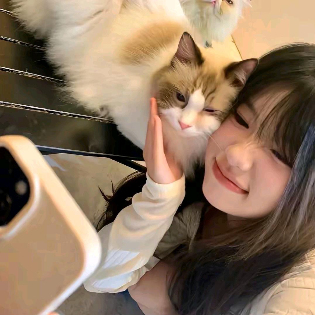 糯米（萤火突击）