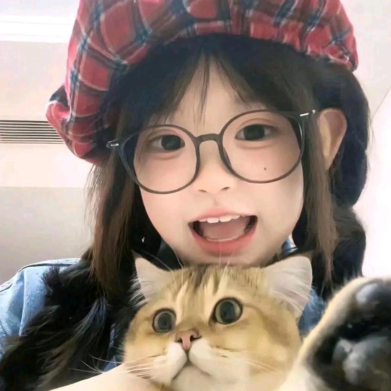 槐桉