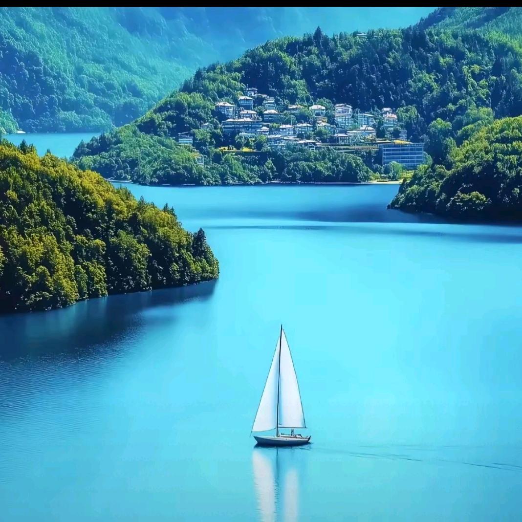 沛公