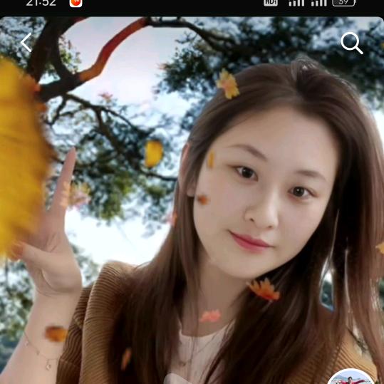 い散落漫天回忆的碎片