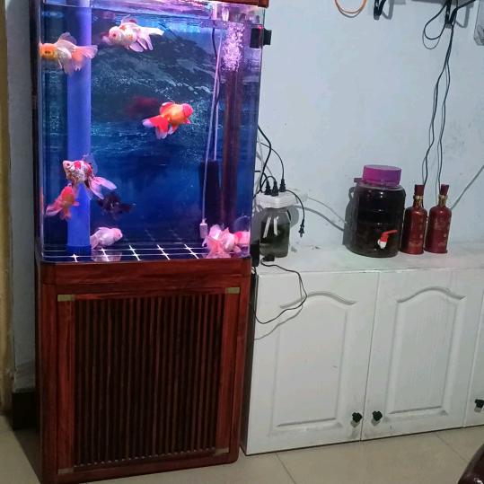 一路顺风😅