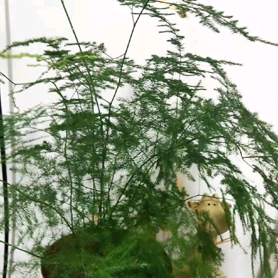 风雨天睛