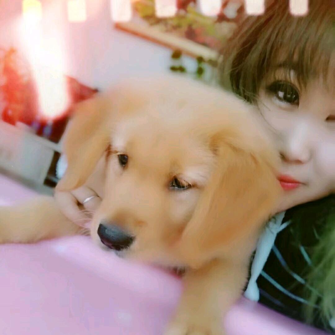 待我长发及腰勒死你可好
