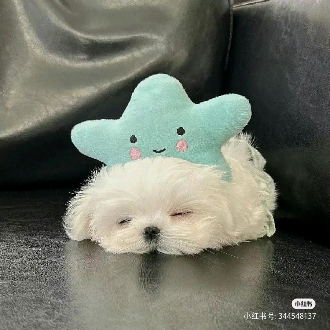 Huioioii