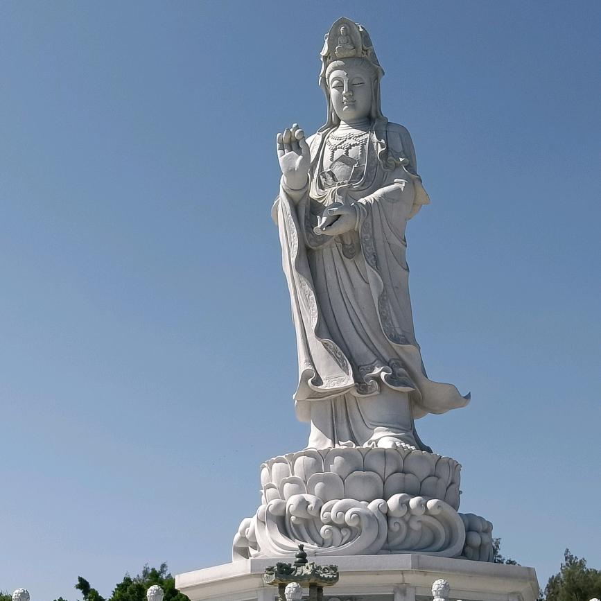 我若不犯贱，你连伤我的资格都没有，