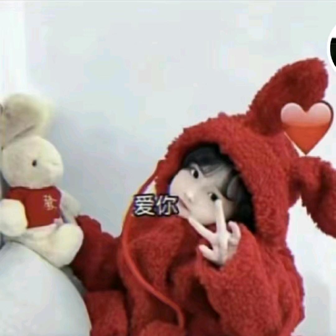 🐅⁰⁹.₀₆念℘࿐