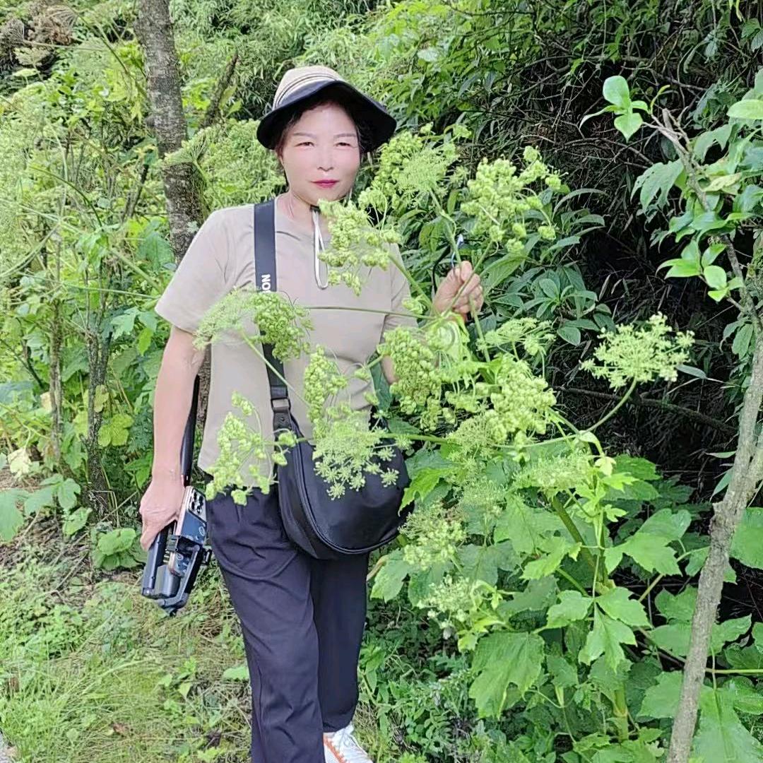 罗妹妹