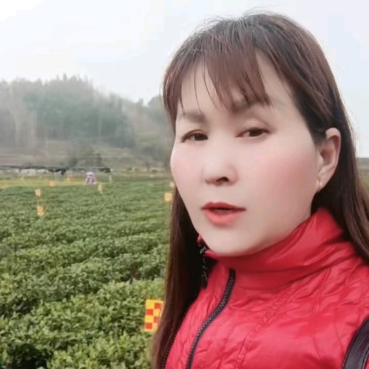 汝州大自然劳务