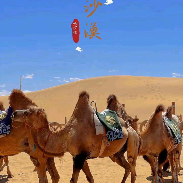 颖宝宝