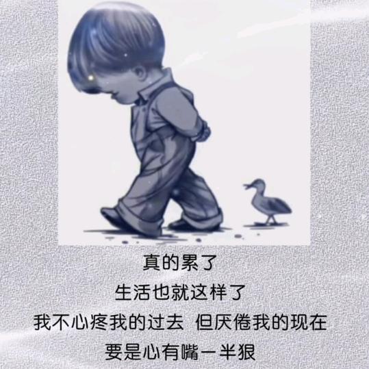 人生无悔