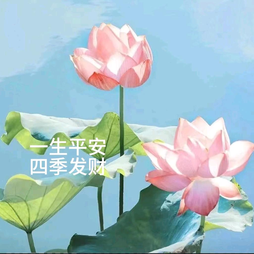 一生平安🍀