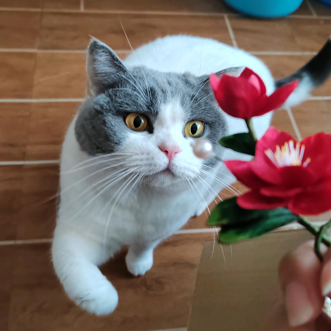 低调。