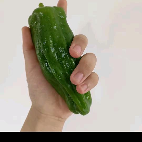 小辣椒