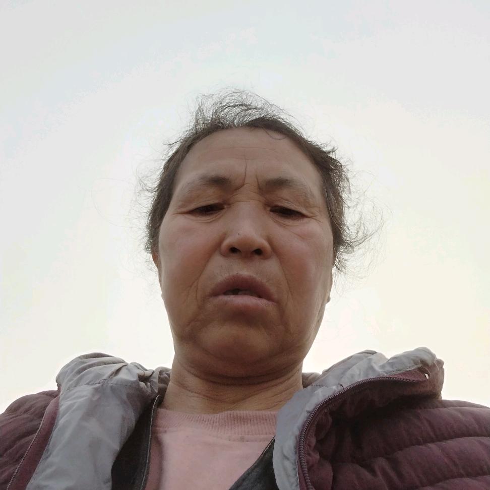 卫