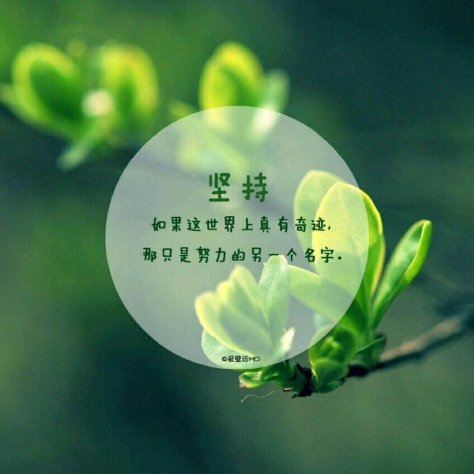 东游记