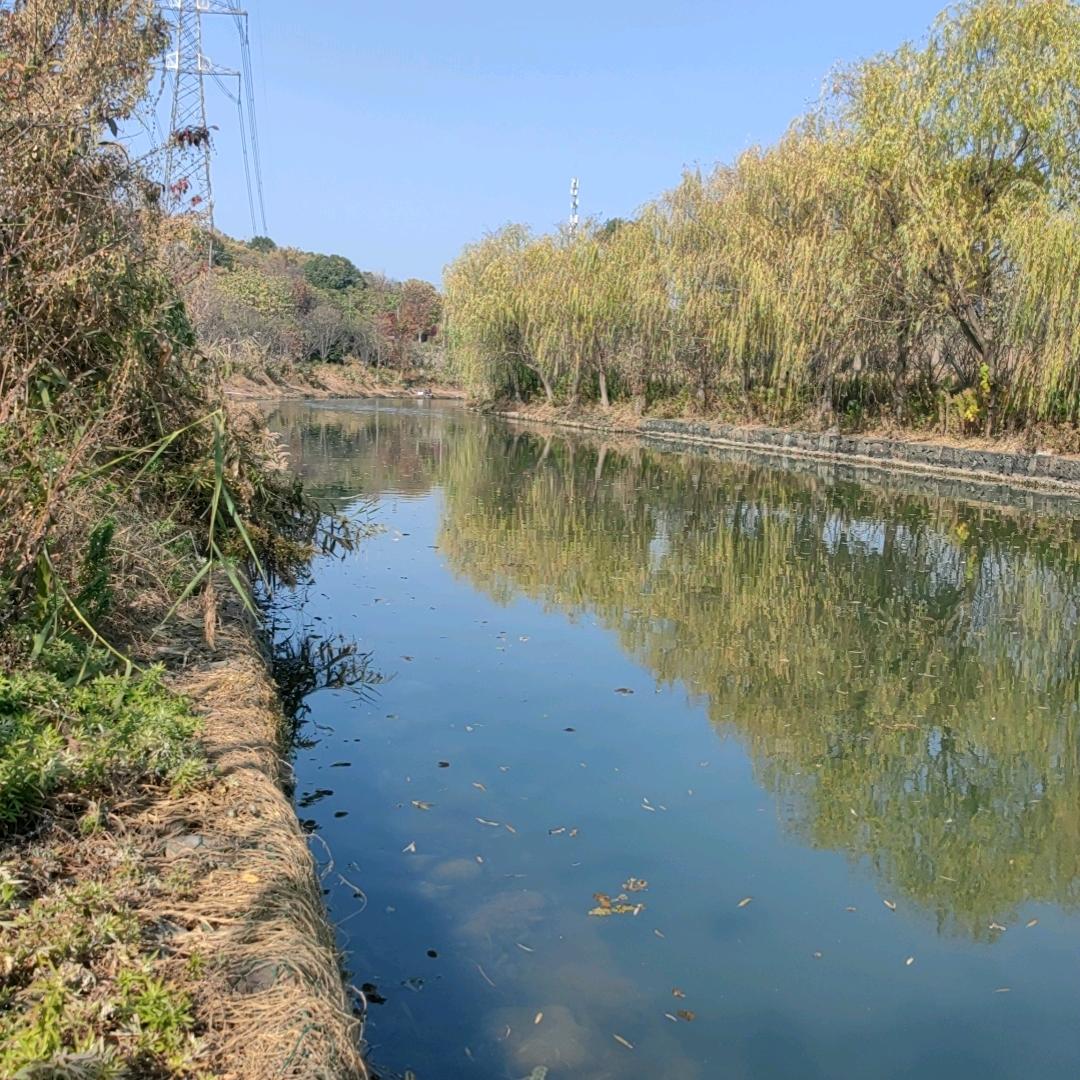 Roctek电子元器件