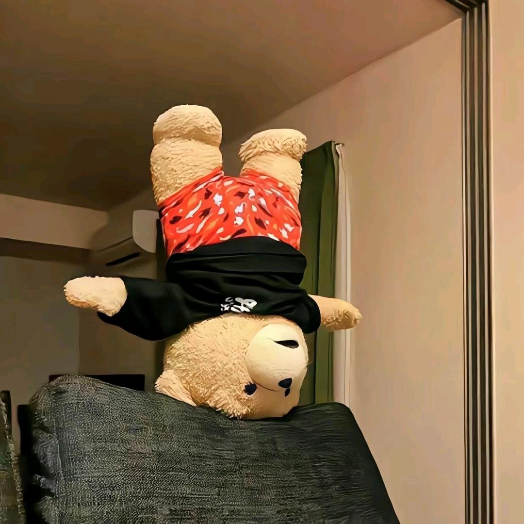 ㅤ🧸ㅤ