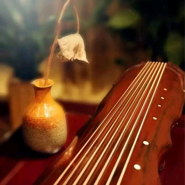 阳春知音