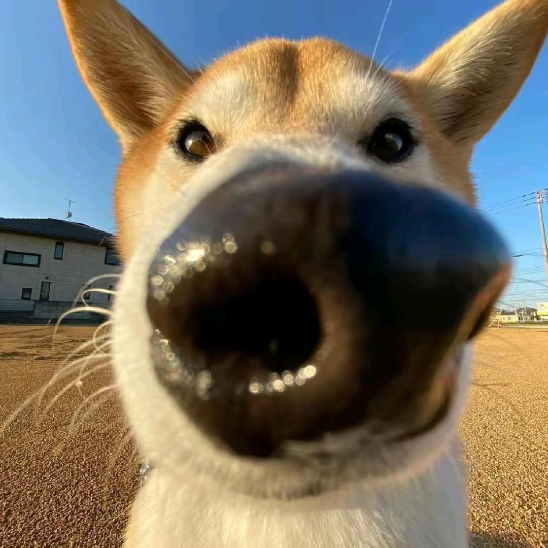 离劳北