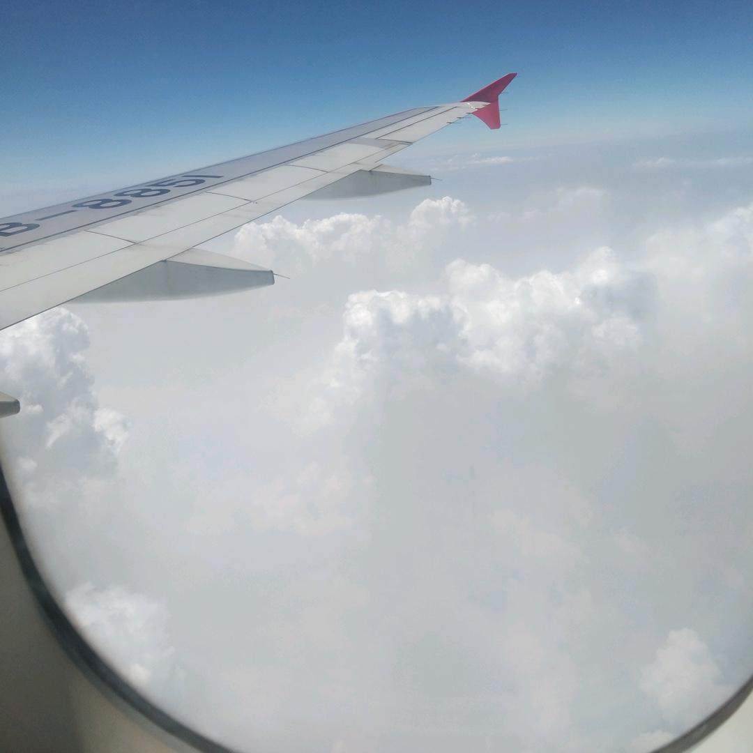 四处漂泊，没有终点