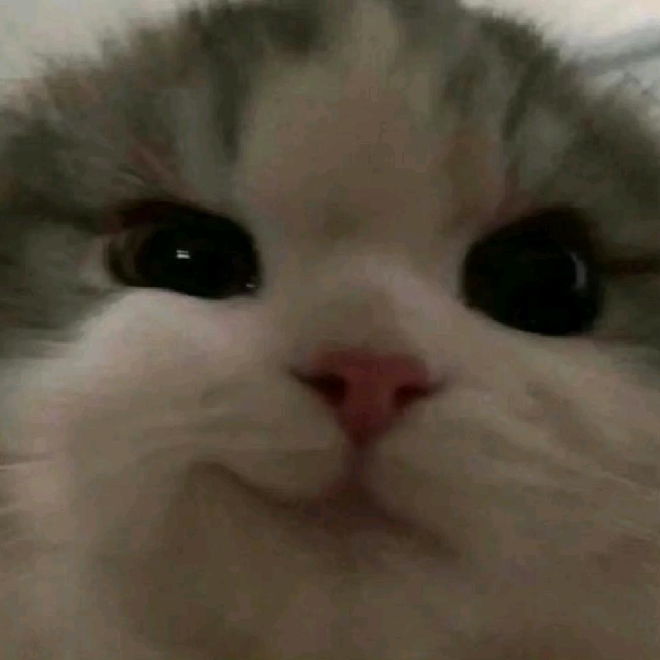 专治不开心药