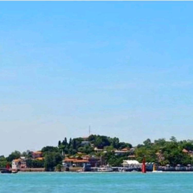 东北快乐老大哥