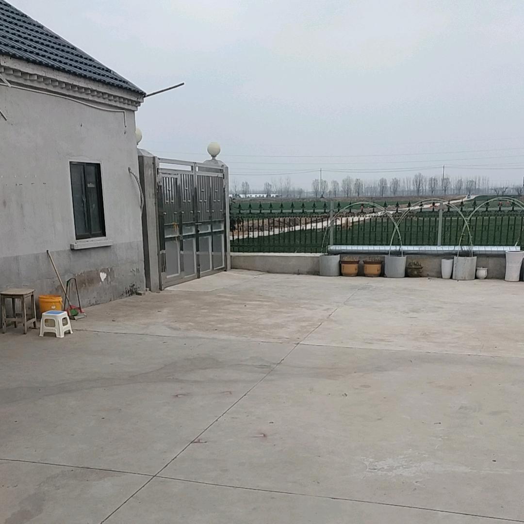 ༒࿈阳光总在风雨后༙头像