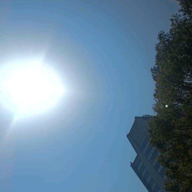 柠檬