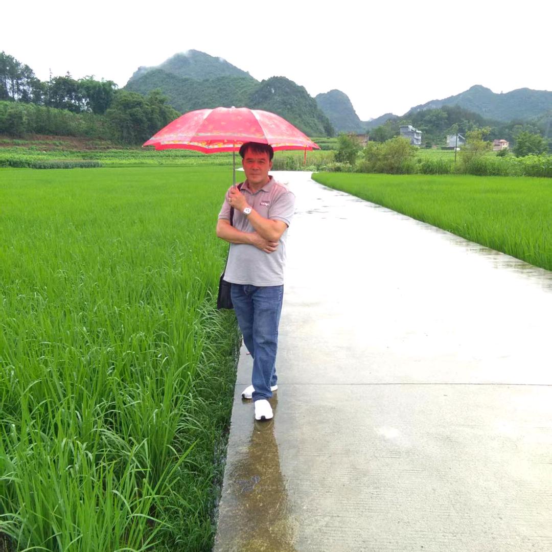 泥海翻滚