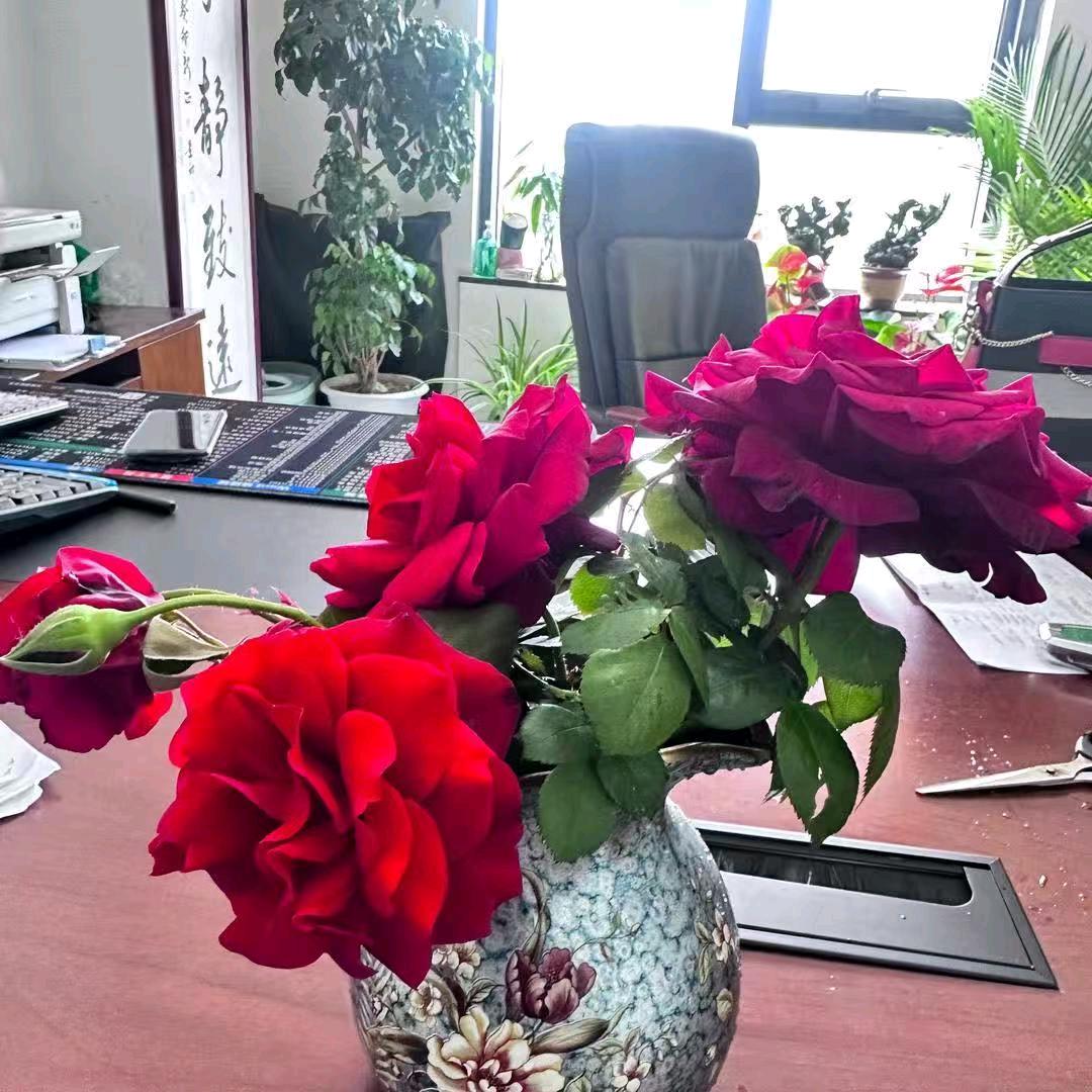 山东恒浩交通设施有限公司