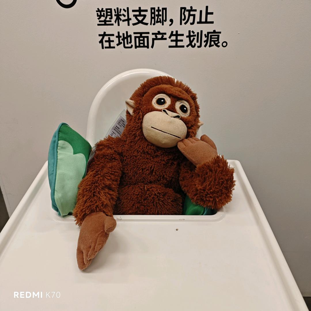 十三小宝🐶