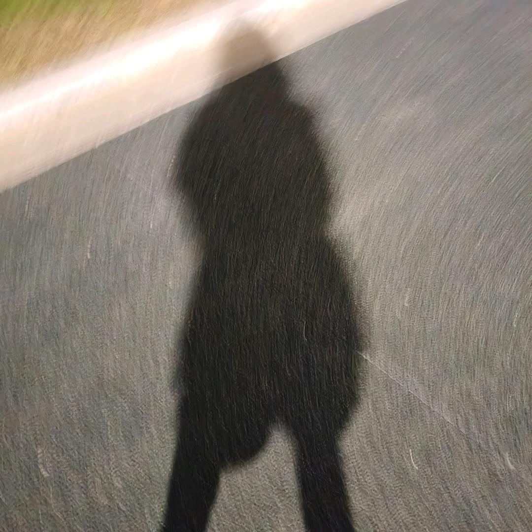 (┯_┯)头像