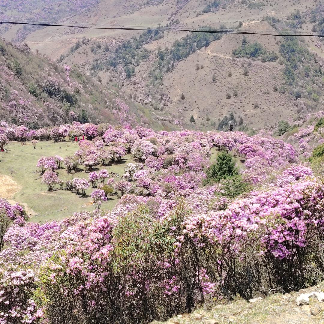 ᯤ⁶ᴳ幸福ᨳᩚᤢᤣ田蜜꯭ᨶ႒ᩚ