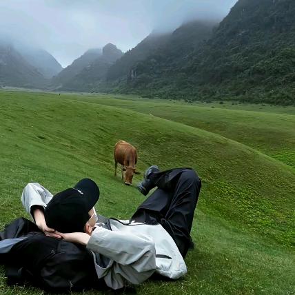 山东艺考王老师