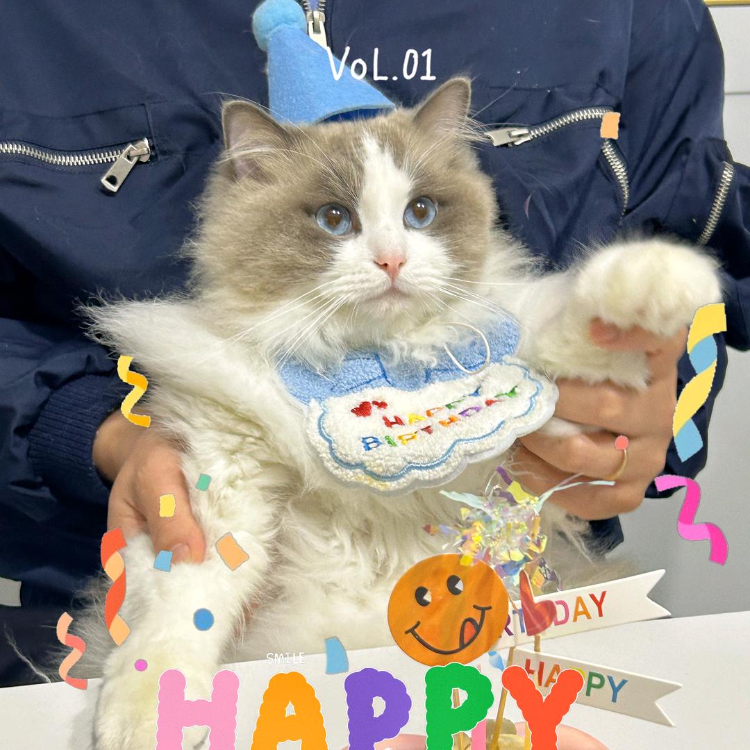 爱车爱猫的十二