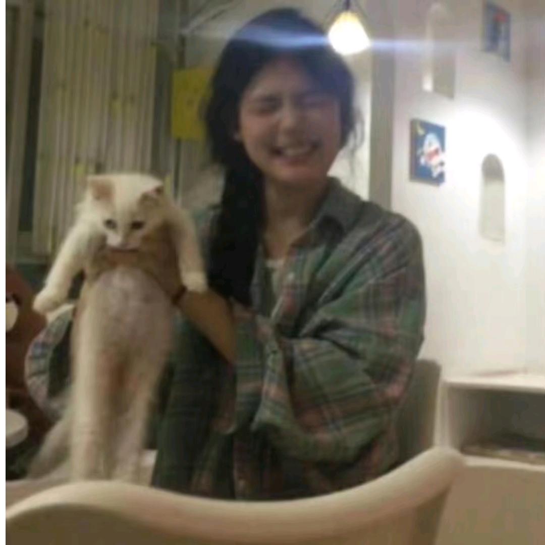困困猫薄荷