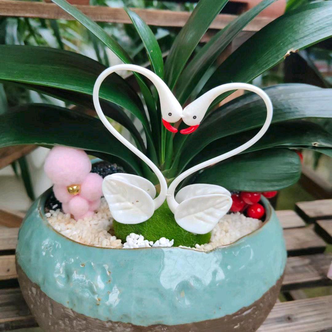 开心每一天桂贞国