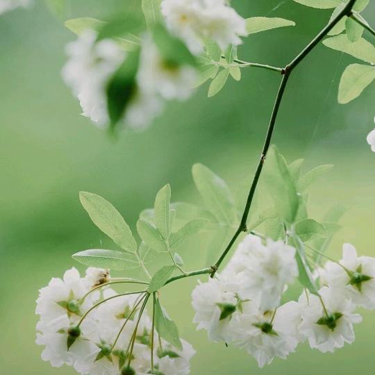 开心果，拒绝一切私聊