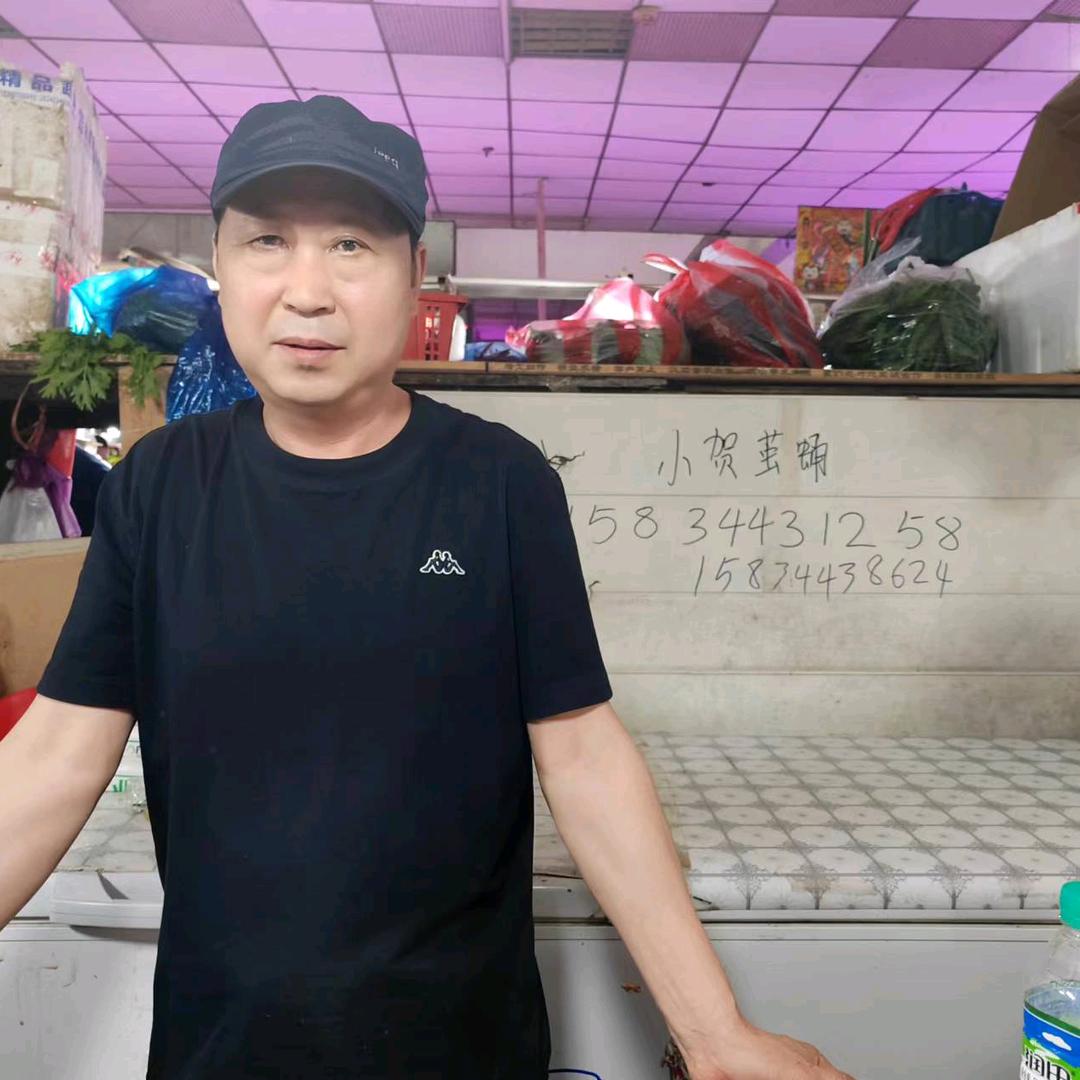 马哥蚕蛹山货批发零售