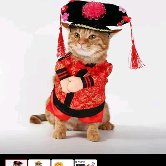 青梅煮酒话短长