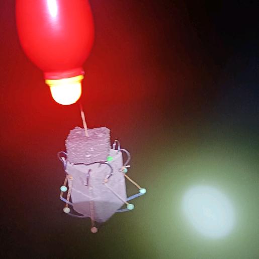 钓鱼爱好者走天涯