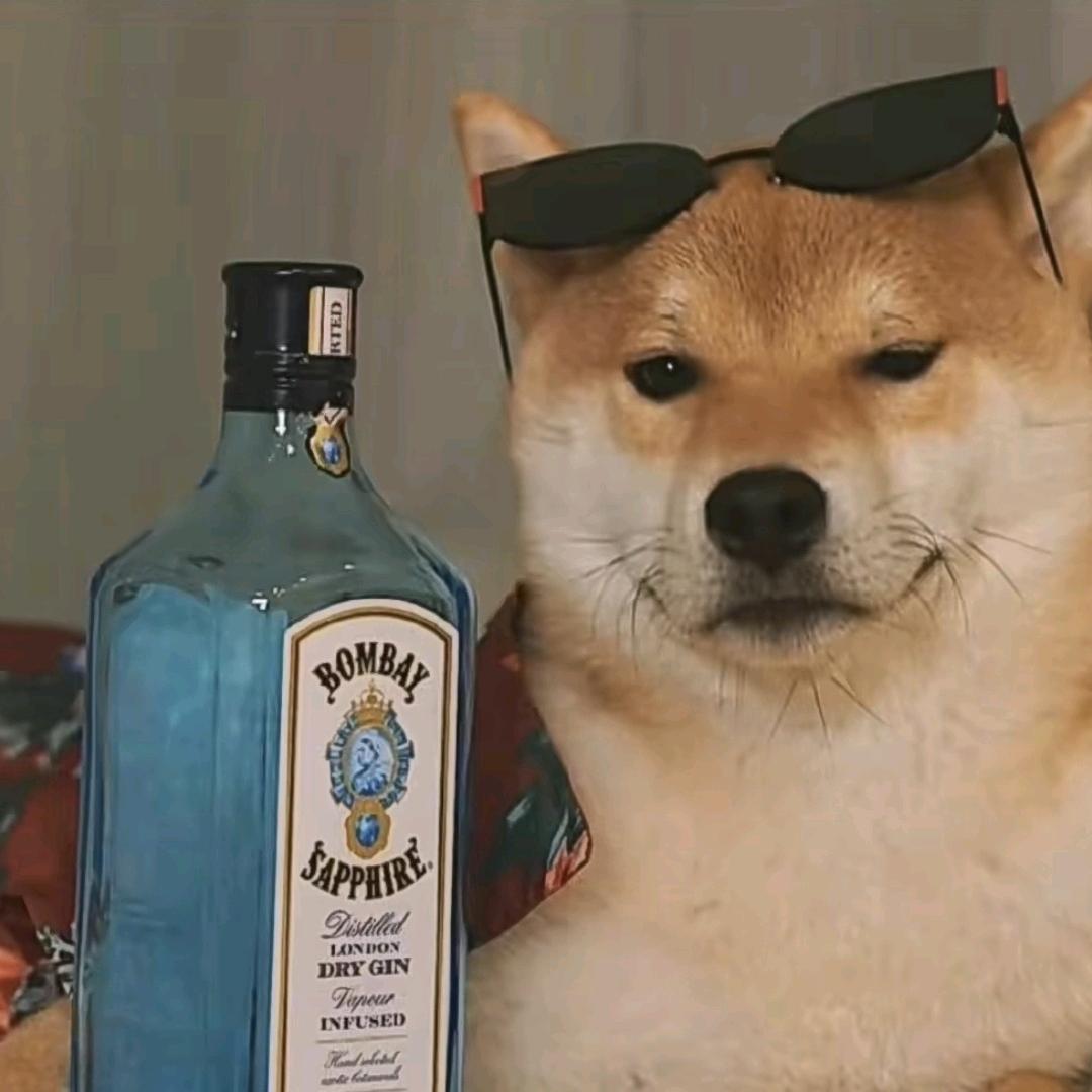 ╲↘，⊙畏