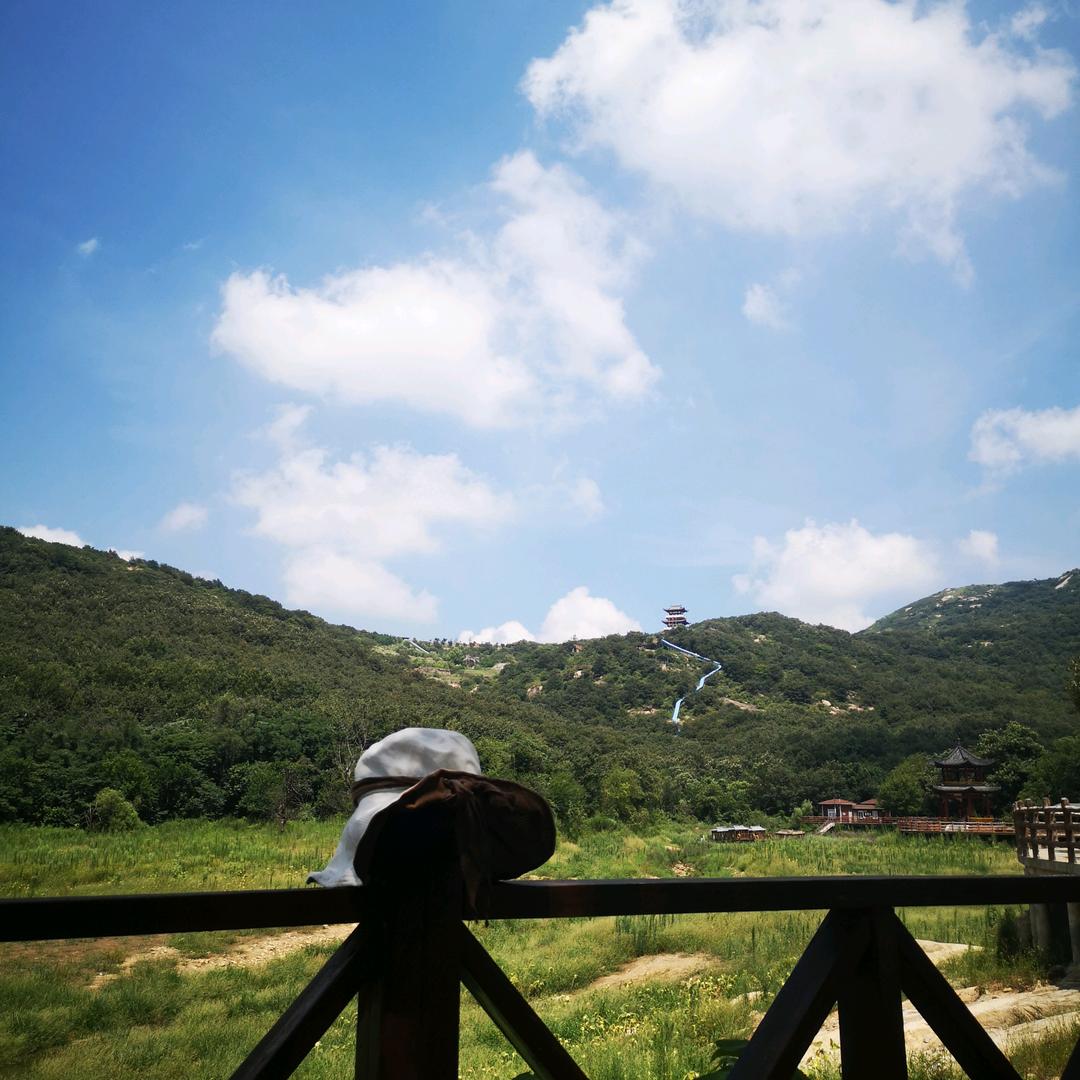 许个愿望✨