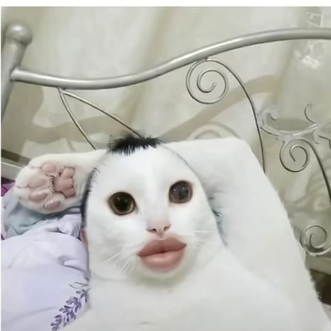 666拉了头像