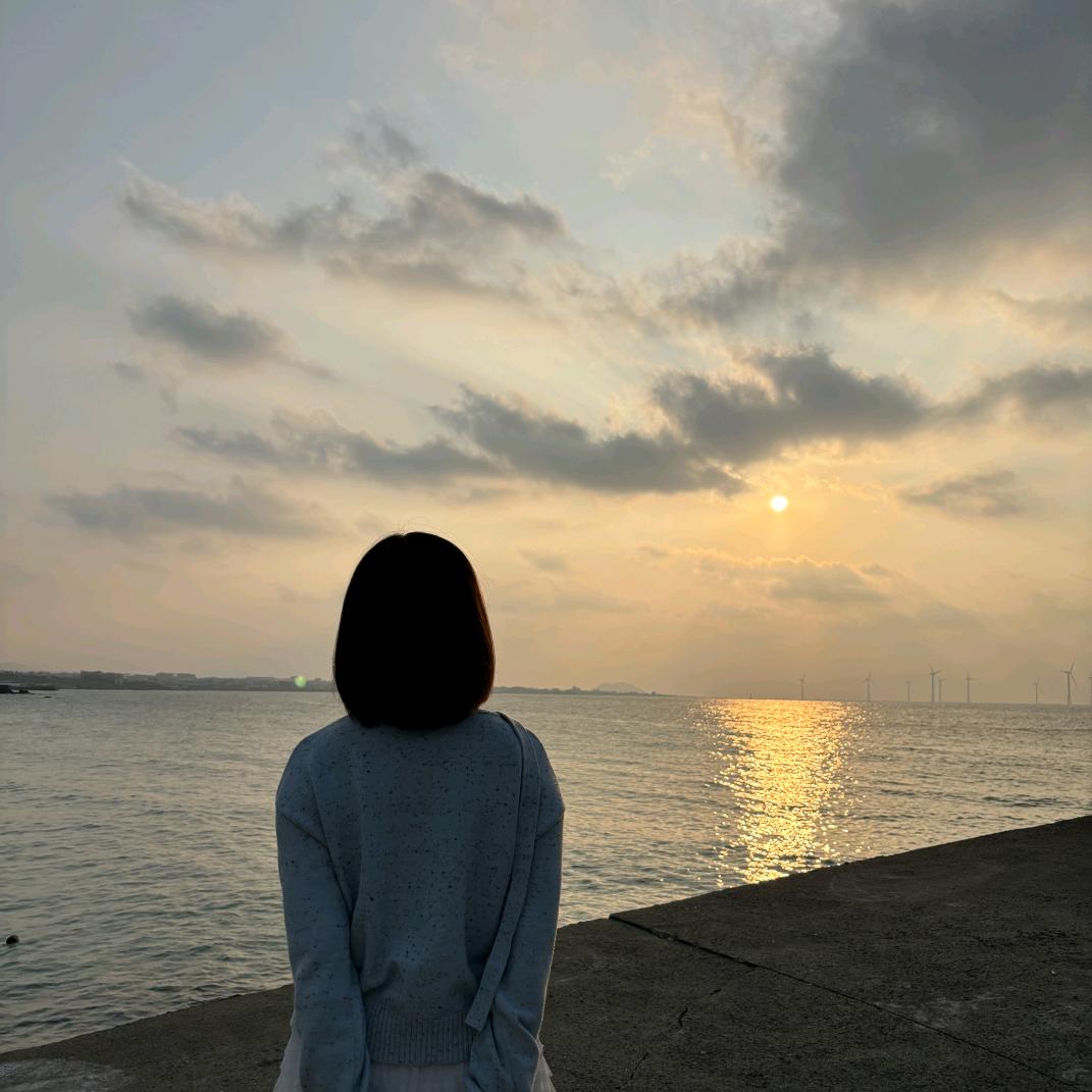 还太阳一束光