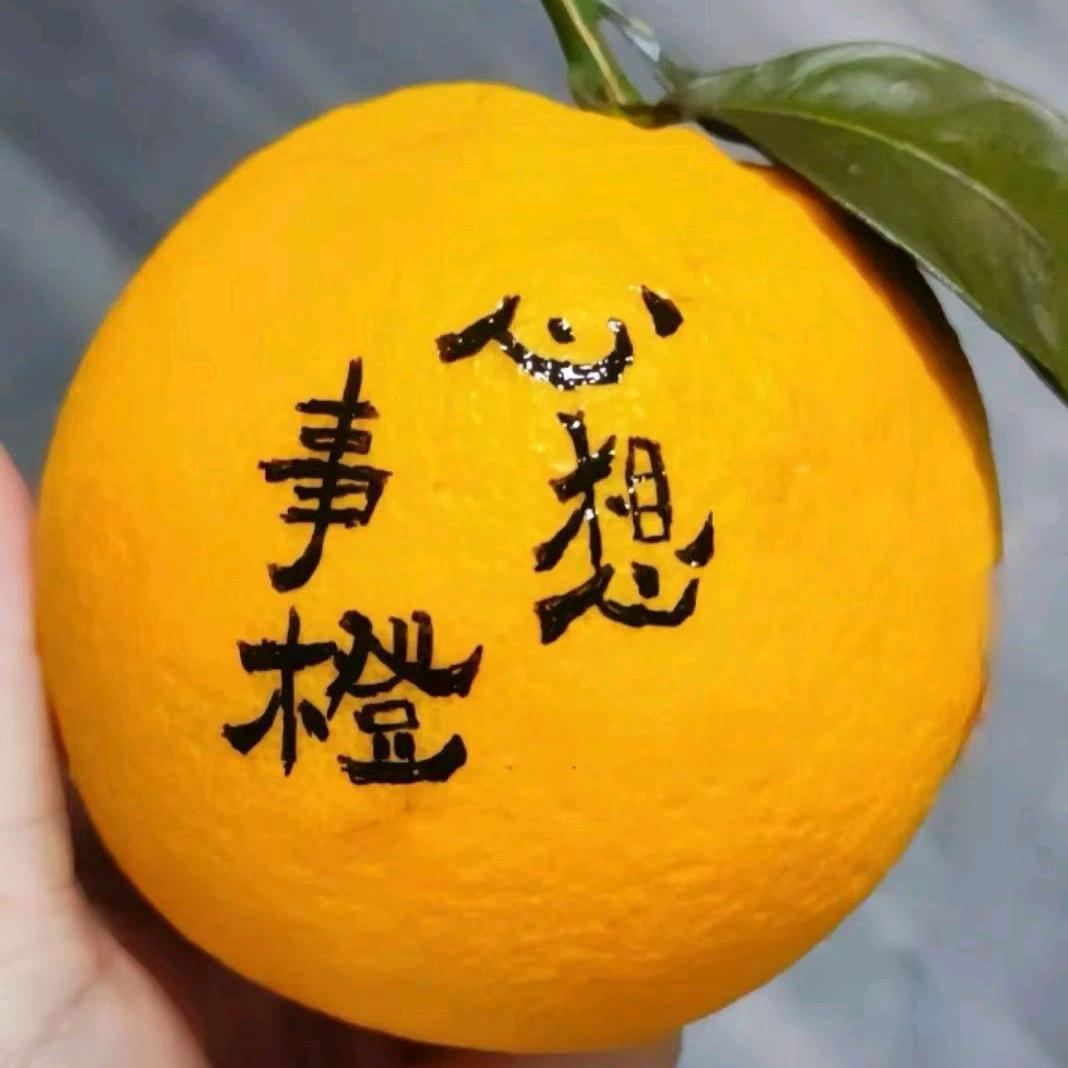 云中君子