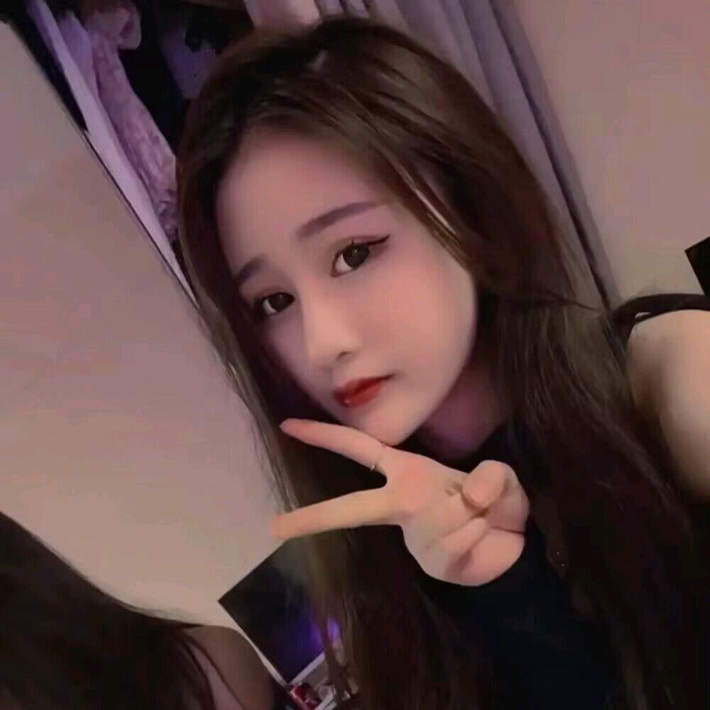 白云、十二小动物