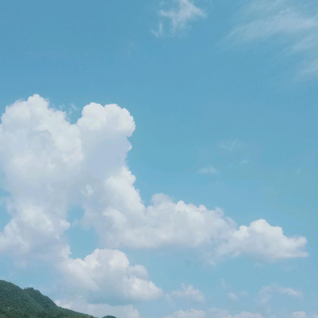 随心所欲